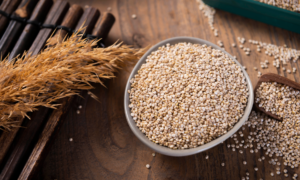 Quinoa: tudo sobre mais um vegetal rico em proteína Quinoa: tudo sobre mais um vegetal rico em proteína