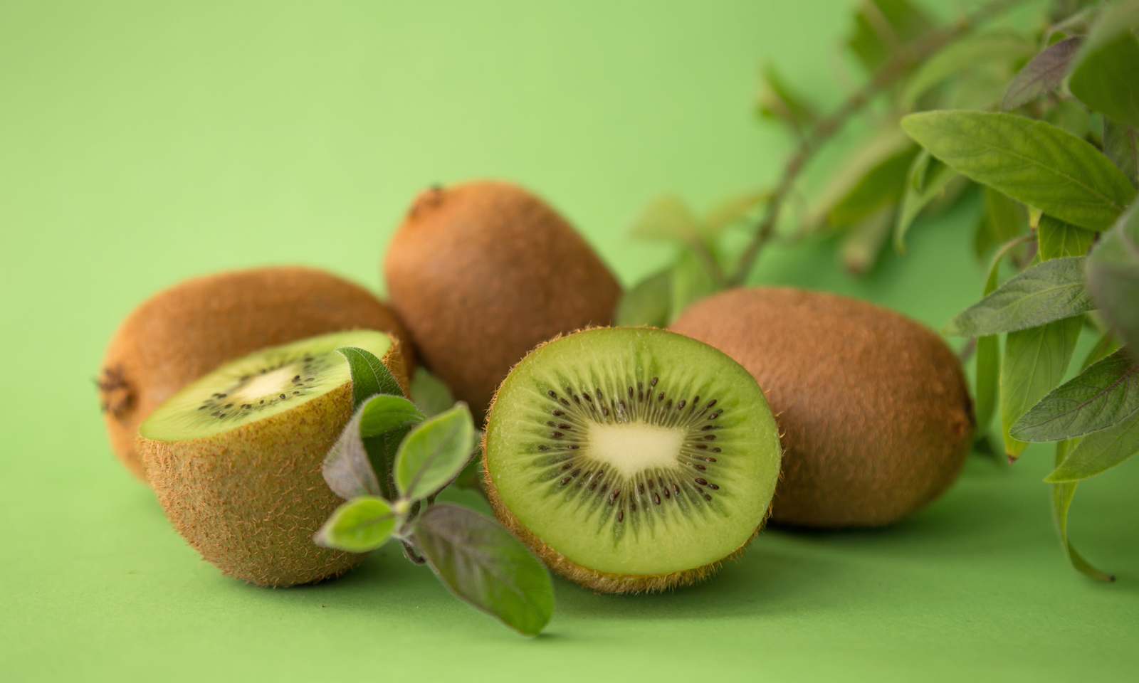 Como plantar Kiwi em Casa Como plantar Kiwi em Casa